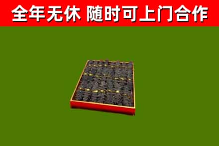 宾市回收海参